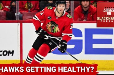 Chicago Blackhawks Have Taylor Hall & Alex Vlasic Return To Practice, + Rockford IceHogs Update