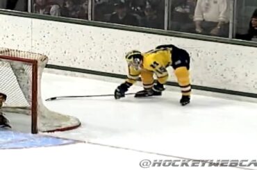 Mike Legg - 'The Michigan Goal' - Full Sequence - March 24, 1996 (High Quality)