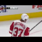 Evgeny Svechnikov's great shot goal vs Blackhawks (2021)