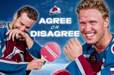 What Do NHL Players Disagree On?