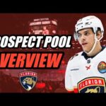 Prospect Pool Overview: Florida Panthers