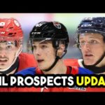 MASSIVE New York Rangers CHL PROSPECTS UPDATE!