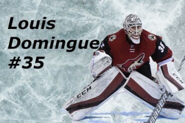 Louis Domingue #35 [HD]