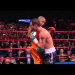 Joe Calzaghe vs Roy Jones Jr 08.11.2008