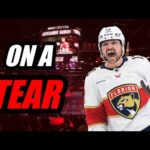 I doubted the Florida Panthers...  again