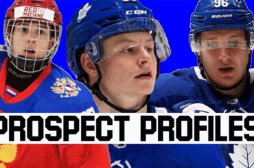 Toronto Maple Leafs Prospect Update: Amirov, Abramov, Korshkov, SDA!