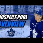 Prospect Pool Overview: Toronto Maple Leafs