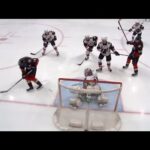 Jakob Silfverberg Controversial Kicking Motion Goal