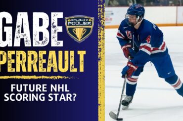 Gabe Perreault Could be a Future Star for the New York Rangers