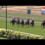 Renouf runs 5th to Miss Catherine