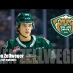 2021 NHL Draft : Olen Zellweger - 20-21 Highlights