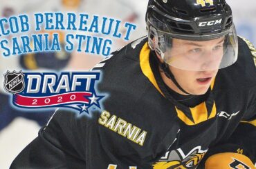 2020 NHL Draft Prospect Profile: Jacob Perreault - Sarnia Sting