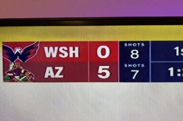 The Arizona Coyotes Are... Good?