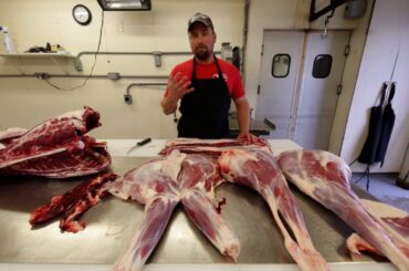 Full Deer Processing Tutorial and Cut Up (HOW TO)