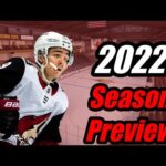 2022-23 Season Preview: Arizona Coyotes