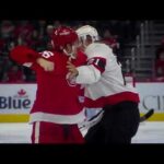 NHL hockey fight - Mathieu Joseph(Senators)vs. Christian Fischer(Red Wings)