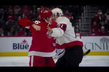 NHL hockey fight - Mathieu Joseph(Senators)vs. Christian Fischer(Red Wings)