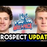 HUGE New York Rangers AHL PROSPECTS UPDATE!