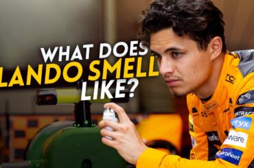 What does Lando smell like?