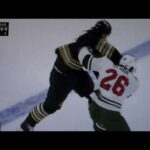 NHL hockey fight - Jakub Lauko(Bruins) vs. Connor DeWar(Wild)