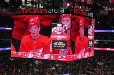 recap: Anaheim Ducks vs Det Red Wings / Lost 4 - 3 / Goals n Injuries n Fights / Dec 18, 2023 #lgrw