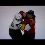 NHL hockey fight - Ryan Lomberg(Panthers) vs. Keegan Kolesar(Golden Knights)