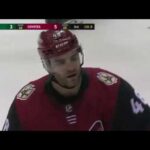 Jordan Martinook Goal vs MIN 03-01-2018