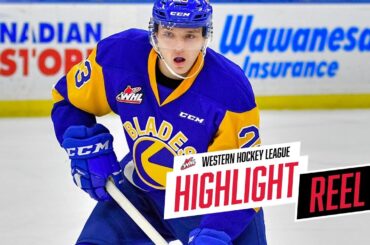 2018-19 HIGHLIGHT REEL | Emil Malysjev