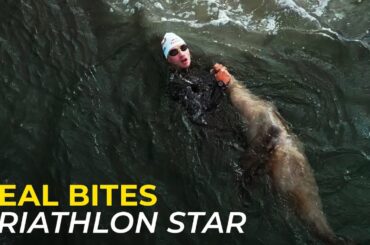 Super League Triathlon Star Bitten By Seal On Eve Of Malibu Triathlon Race