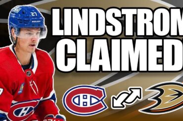 Anaheim Ducks Acquire Gustav Lindstrom From Montreal Canadiens(Temporary Jamie Drysdale Replacement)