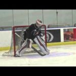 Steve Mason and recently recalled Anthony Stolarz talk to the media after practice on Sunday