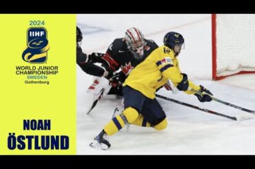 2024 WJC : Noah Östlund Highlights