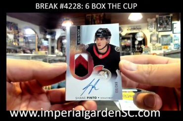 BREAK #4228 : 6 BOX 2021-22 #upperdeck THE CUP #Exquisite  NHL HOCKEY BOX CASE BREAK