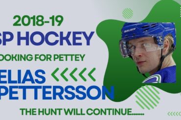 2018-19 SP hockey hanger packs, trying to hit a Pettersson