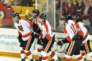 Grand Rapids Hockey vs Cloquet-Esko-Carlton 2016 Semi Finals Sec7AA