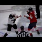 NHL hockey fight - Jonah Gadjovich(Panthers) vs. Liam O'Brien(Coyotes)