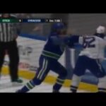 Andrey Pedan vs Luke Witkowski Dec 5, 2015