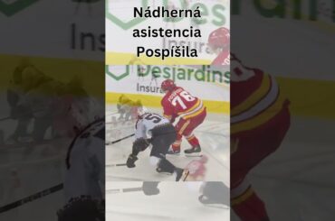 Martin Pospíšil asistoval na gól. Svoju 7. asistenciu v kariére dal len jednou rukou #pospisil #nhl