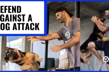 How to Defend Against Dog Attack