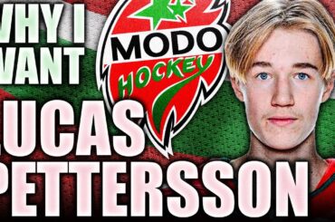 Why I Want: LUCAS PETTERSSON - A FUTURE VANCOUVER CANUCKS PICK? (Top NHL Prospects News 2024 Draft)