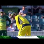 George Bailey's batting stance has Faf du Plessis laughing