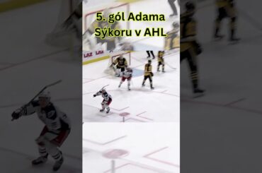 Adam Sýkora dal svoj 5. gól v AHL #sykora #nhl #ahl #sk