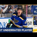 BYE BYE HATERS THE ST. LOUIS BLUES ARE BUZZING