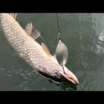 Fishing Rock Lake