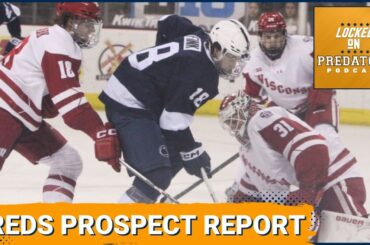 Predators Prospect Report: Tanner Molendyk, Aiden Fink, and Who Could Be in Milwaukee Soon