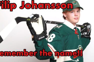Minnesota Wild prospect report Filip Johansson