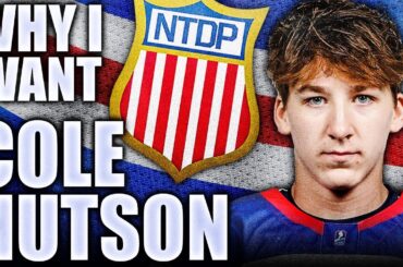 Why I Want: COLE HUTSON - FUTURE MONTREAL CANADIENS PICK, BETTER THAN LANE? 2024 NHL Prospects