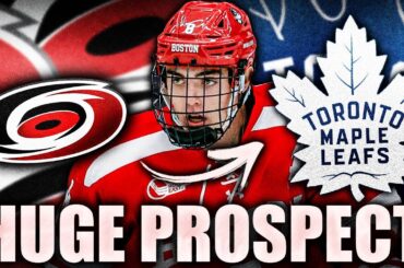 LEAFS TRADE FOR ANOTHER HUGE DEFENCEMAN: BRAD TRELIVING IS COOKING (Cade Webber—Carolina Hurricanes)