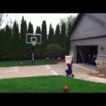 basket ball long shot