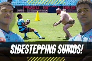 Springboks vs Sumos in the ULTIMATE Sidestepping Challenge!